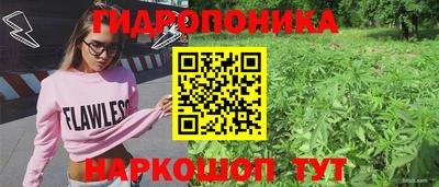 спиды Тулун