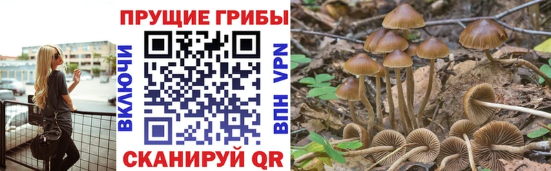 Галлюциногенные грибы MAGIC MUSHROOMS Анапа