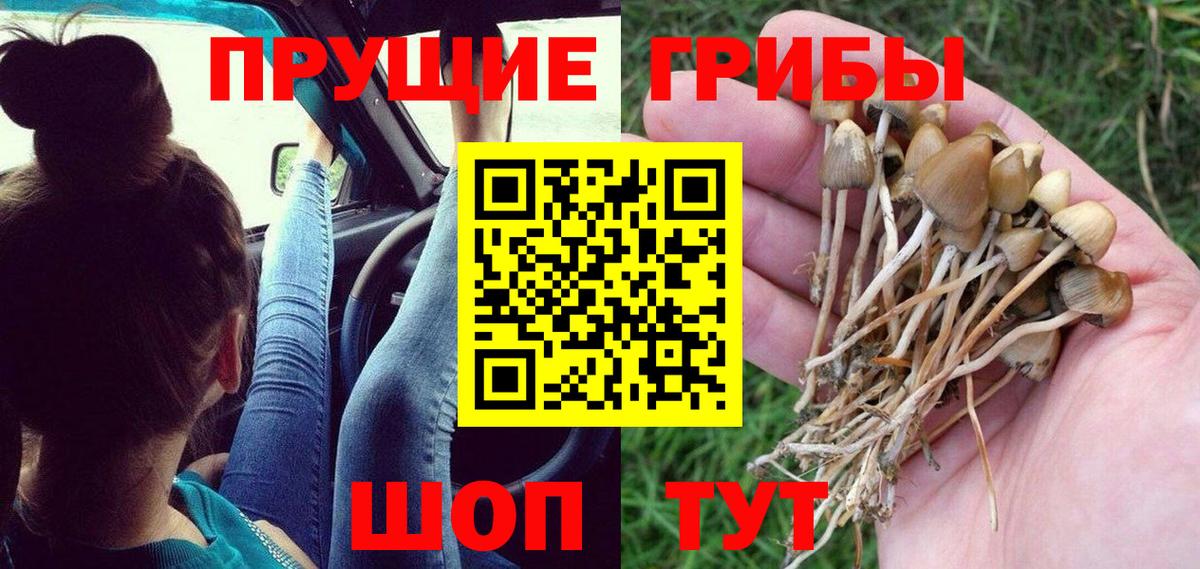 купить наркоту  Галлюциногенные грибы MAGIC MUSHROOMS  Вход с VPN  Анапа 
