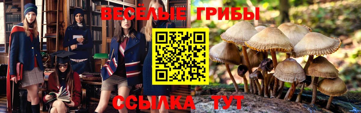 Галлюциногенные грибы Magic Shrooms Анапа